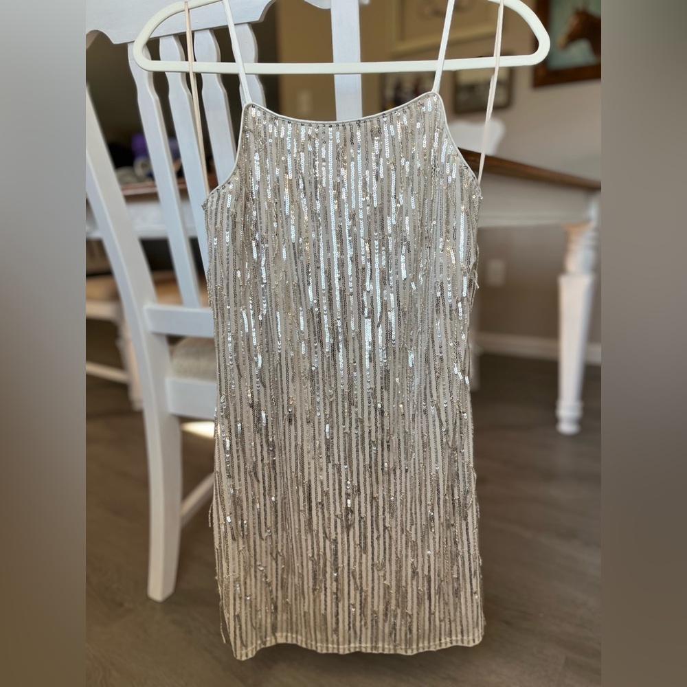Francesca’s Sequin Fringe Mini Dress